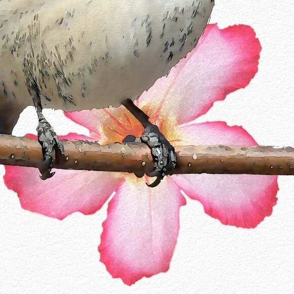 11x14 Black-Capped Chickadee Bird Watercolor Illustration Painting Print - Picture 4 of 6